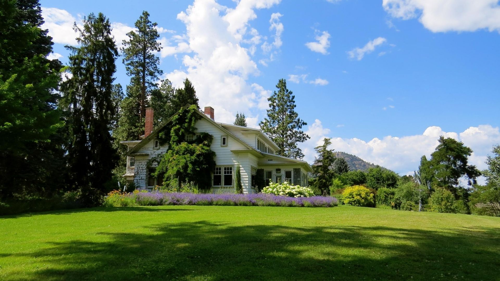 Home in summer with flowers and trees