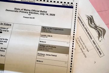 Lillie Lavado on vote by mail primary ballot 2020